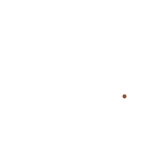 Mind Fit Online